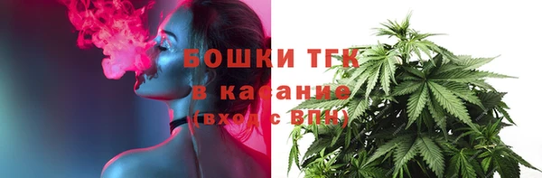 гидра Алексеевка