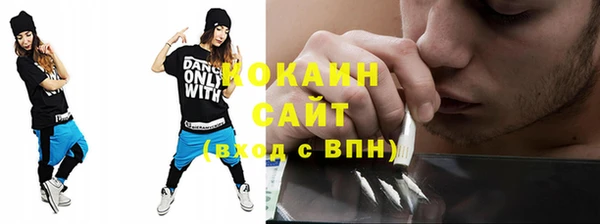 кокс Алексин