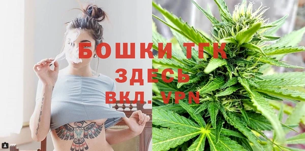 гидра Алексеевка