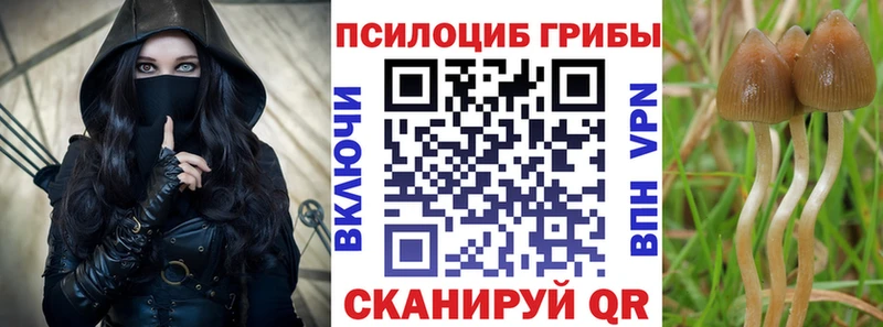 кракен вход  Нефтекумск  Галлюциногенные грибы Magic Shrooms 