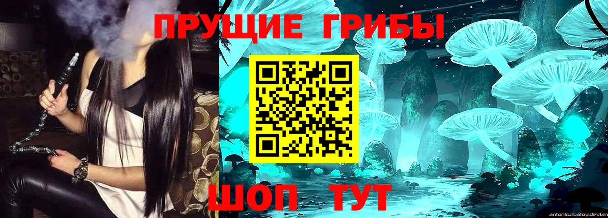 Нефтекумск  Псилоцибиновые грибы прущие грибы  Вход с VPN 